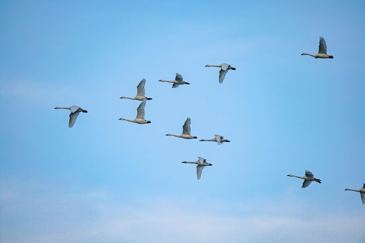 Measuring Leadership Development From Within