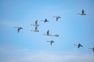 Measuring Leadership Development From Within
